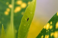croton0521.jpg
