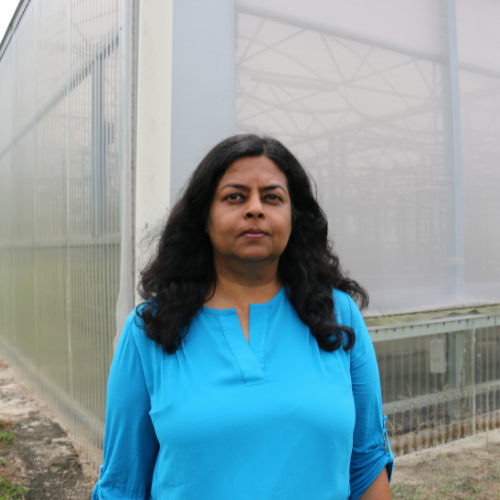Dr. Uttara Samarakoon stands in front of an MREC greenhouse.
